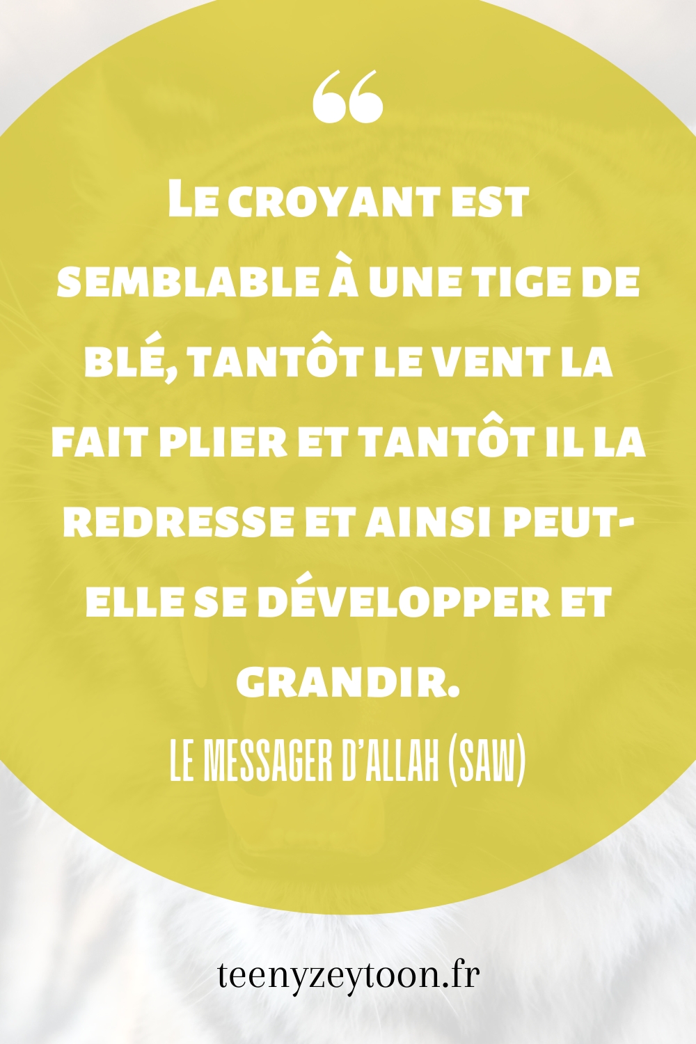 Hadith sur le croyant et l'epreuve
